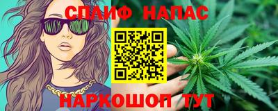 прущие грибы Можайск