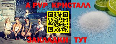 шишки Можга