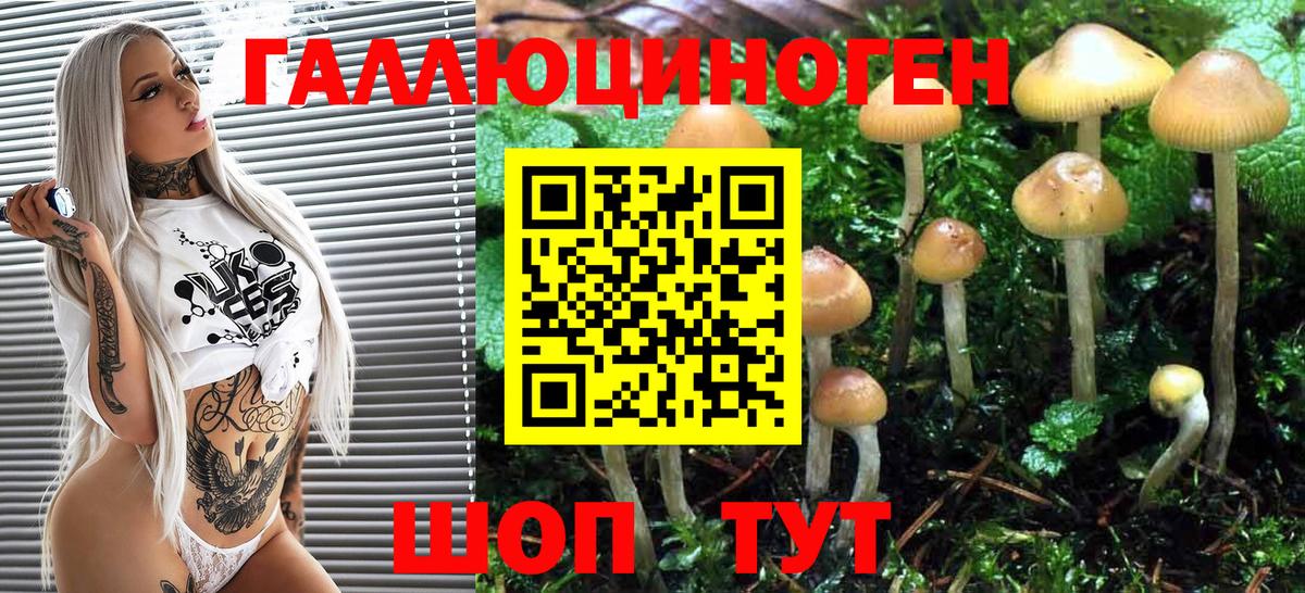 Псилоцибиновые грибы Magic Shrooms  закладки  Ступино  Вход с VPN 